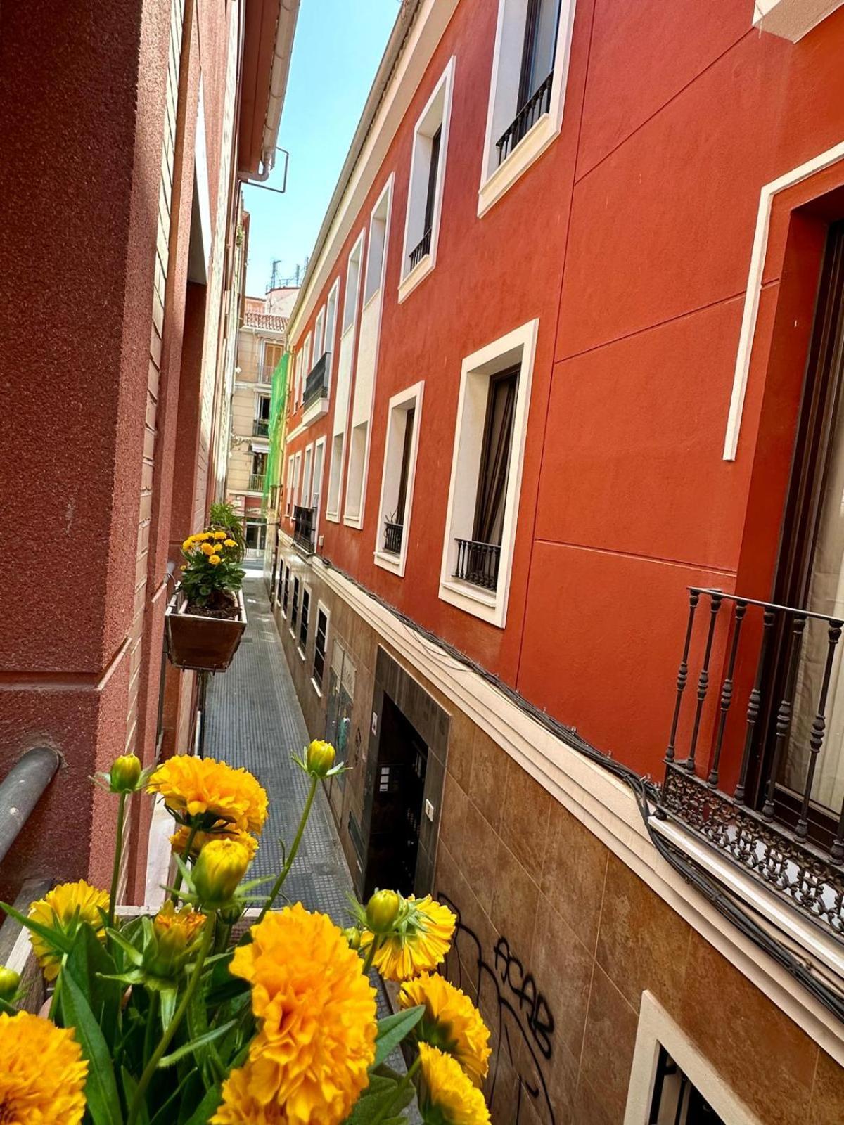Appartement Corazon Centro Historico *